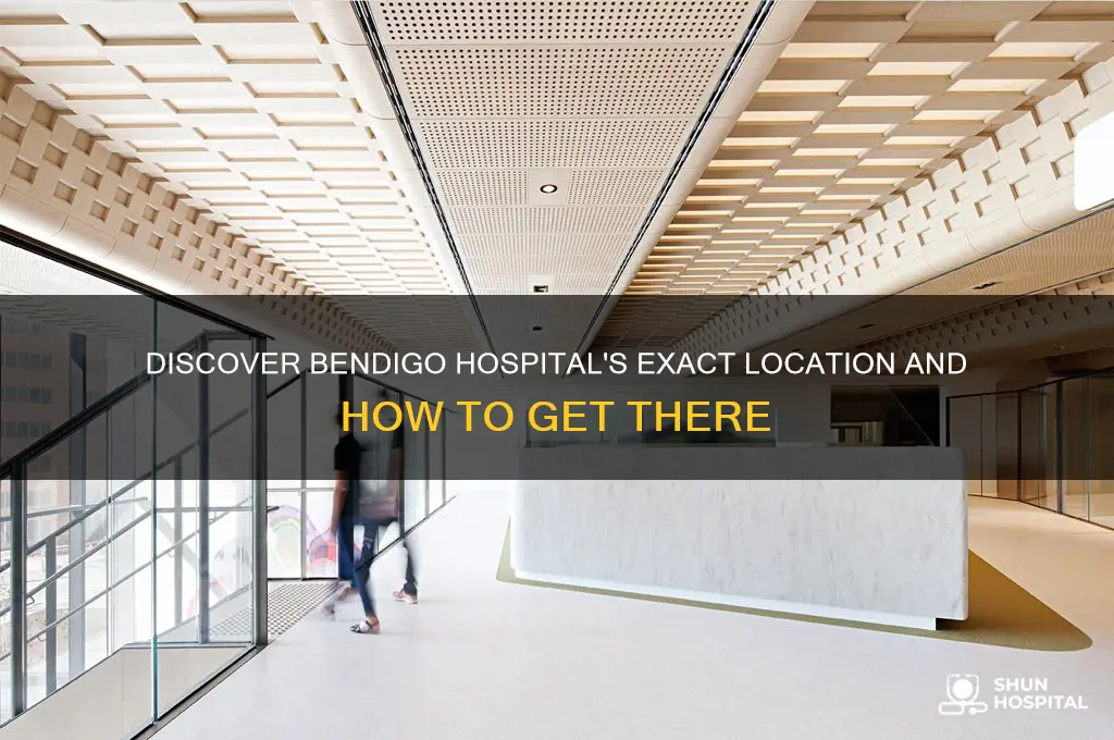 where is bendigo hospital