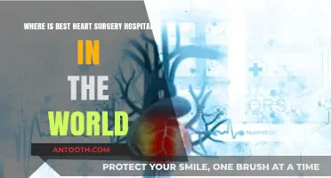 Top Global Heart Surgery Hospitals: Expert Care and Cutting-Edge Technology