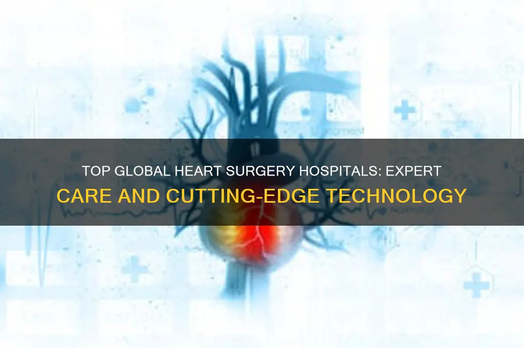 where is best heart surgery hospital in the world