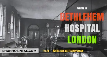 Discovering Bethlehem Hospital London: Location and Historical Insights