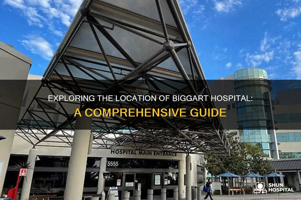 where is biggart hospital