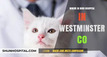 Where to Find Bird Hospital in Westminster, CO: A Guide