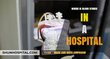 Where is Blood Stored in a Hospital: A Comprehensive Guide