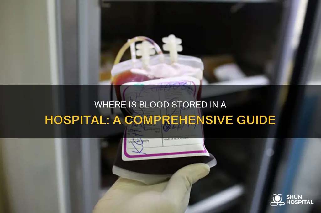 where is blood stored in a hospital