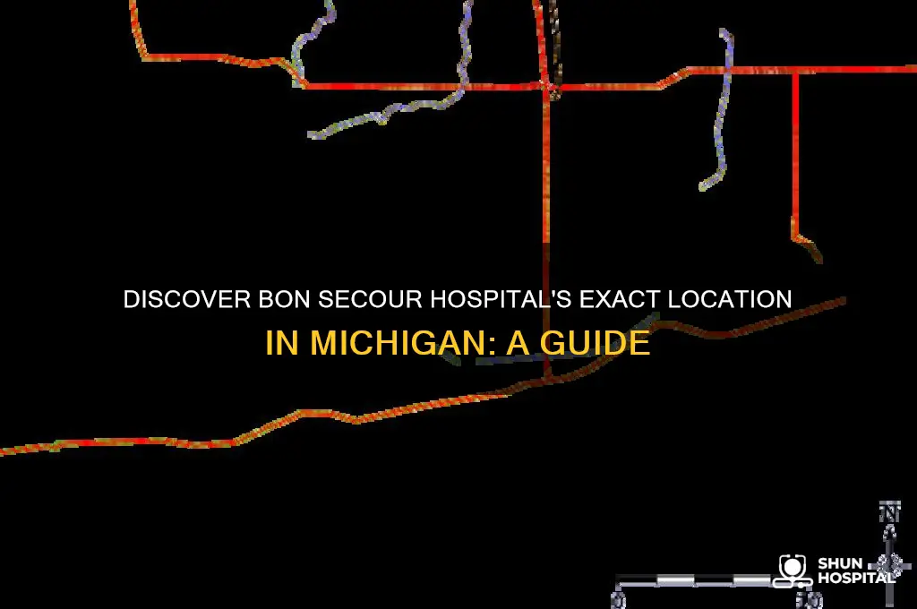 where is bon secour hospital in michigan