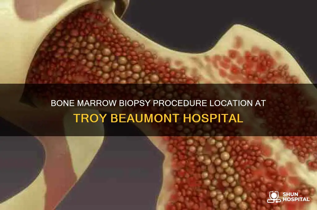 where is bone marrow biopsy done at troy beaumont hospital