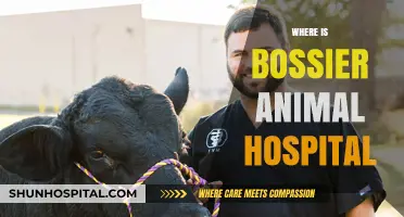 Locating Bossier Animal Hospital: Address, Directions, and Contact Information