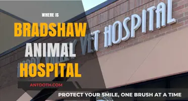Bradshaw Animal Hospital Location: A Guide to Finding Expert Pet Care