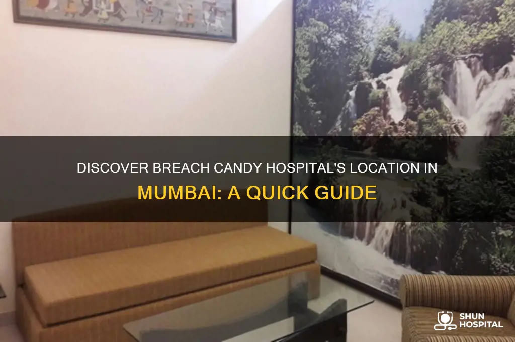 where is breach candy hospital