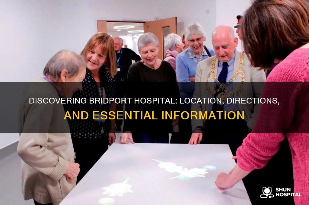 where is bridport hospital