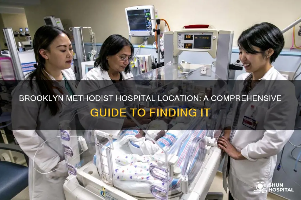 where is brooklyn methodist hospital