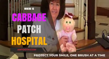Discovering the Location of the Famous Cabbage Patch Hospital