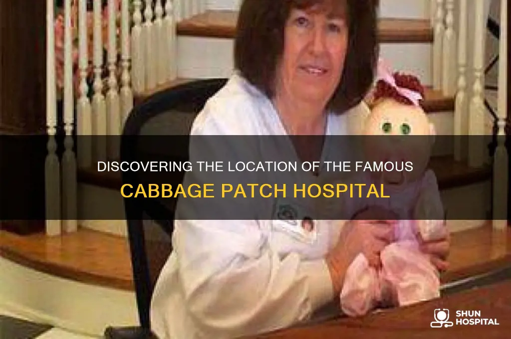 where is cabbage patch hospital