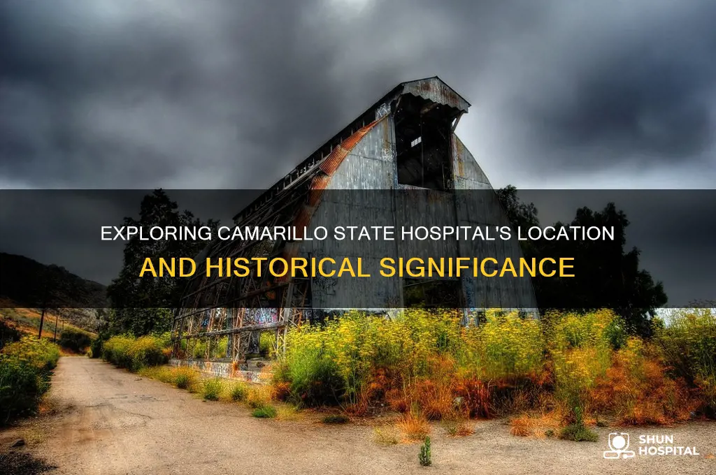 where is camarillo state hospital