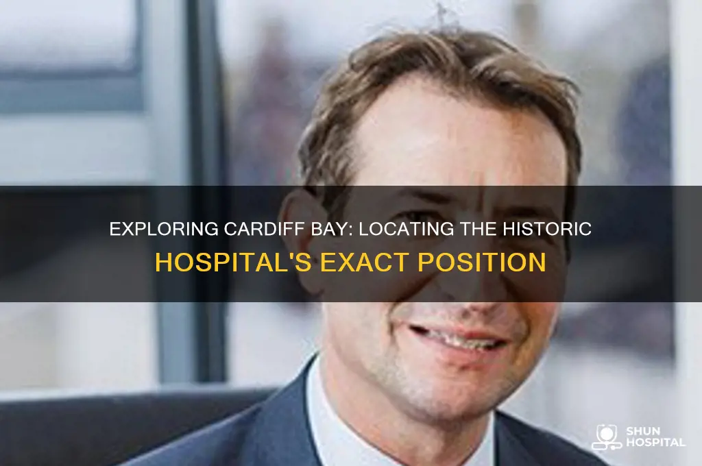 where is cardiff bay hospital