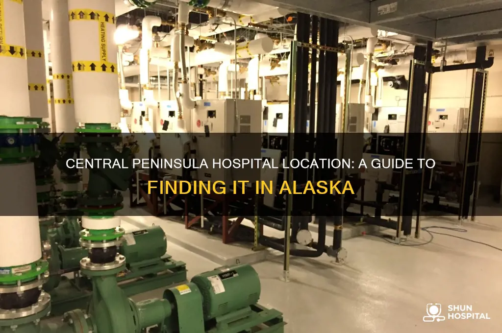 where is central peninsula hospital in alaska