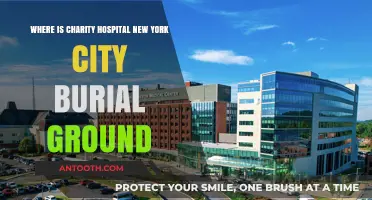 Charity Hospital NYC Burial Ground: Uncovering the Historic Resting Place
