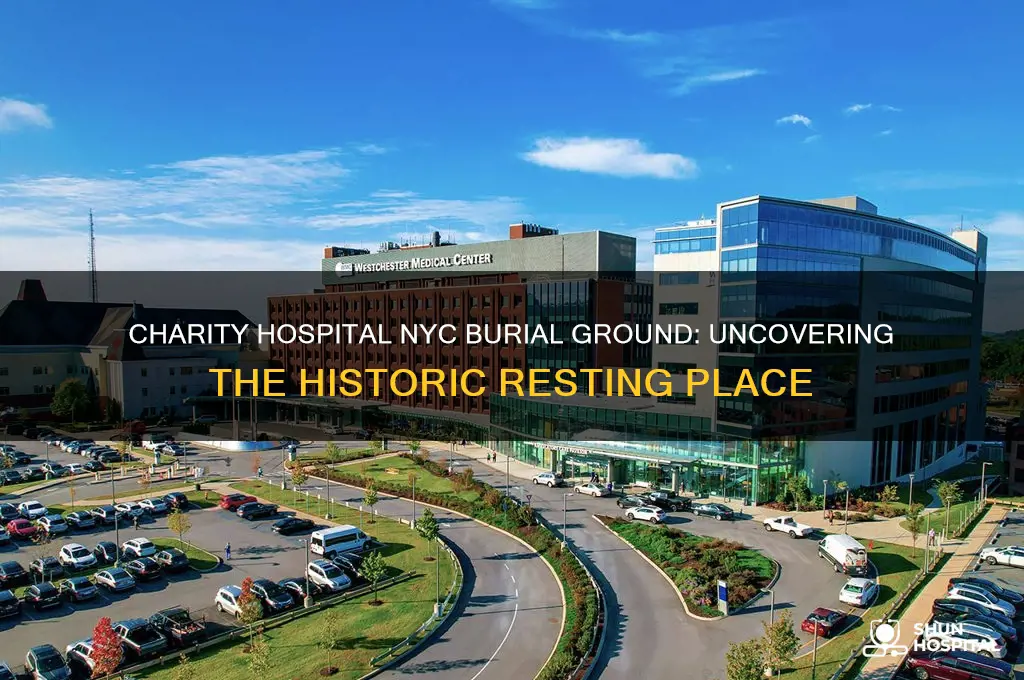 where is charity hospital new york city burial ground