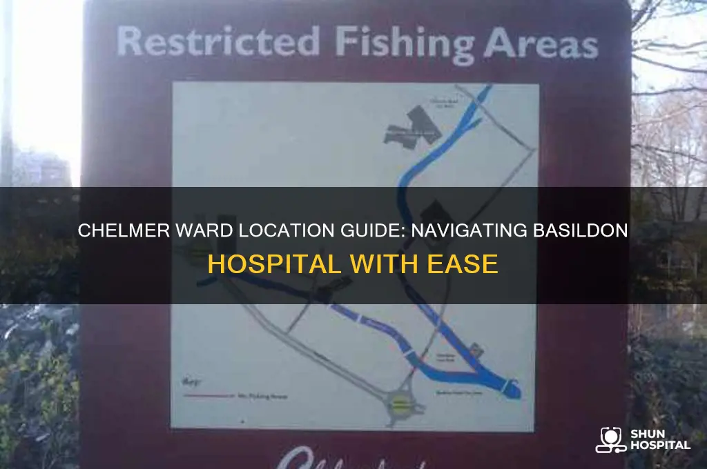 where is chelmer ward in basildon hospital
