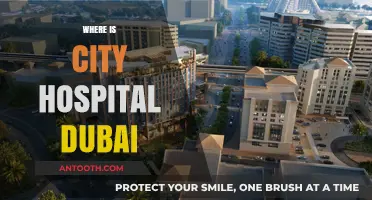 Discovering City Hospital Dubai: Location and Directions Guide