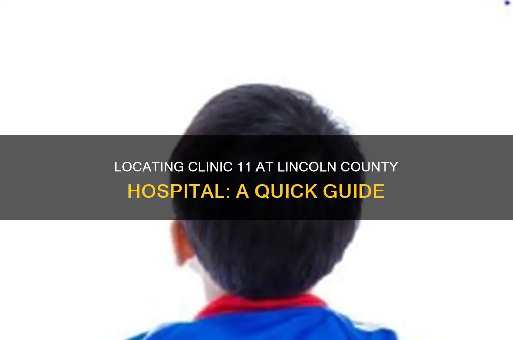 where is clinic 11 lincoln county hospital