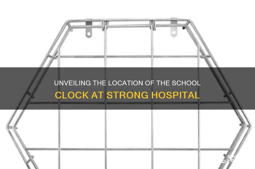 where is clock at school part of strong hospital