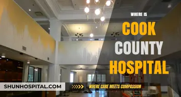 Discovering the Historic Location of Cook County Hospital in Chicago