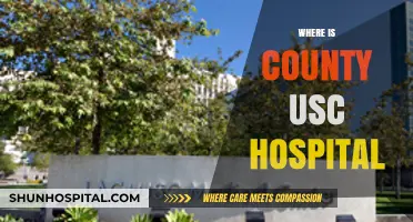 Discovering the Exact Location of County USC Hospital in Los Angeles