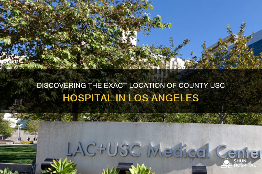 where is county usc hospital