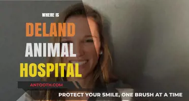 Discover DeLand Animal Hospital's Location and Services for Your Pets