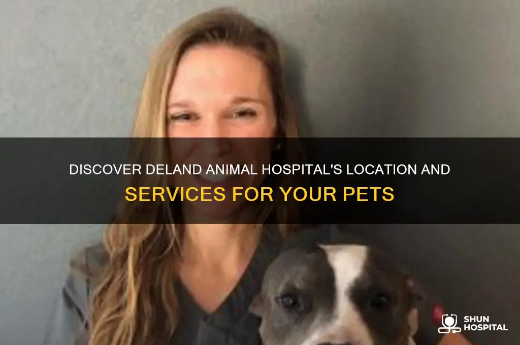 where is deland animal hospital
