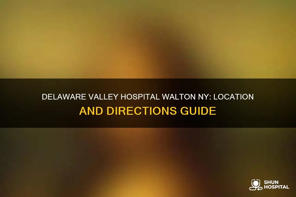 where is delaware valley hospital walton ny