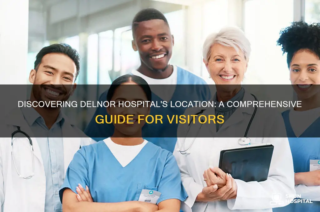 where is delnor hospital