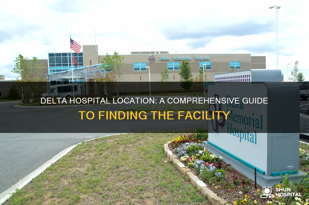 where is delta hospital