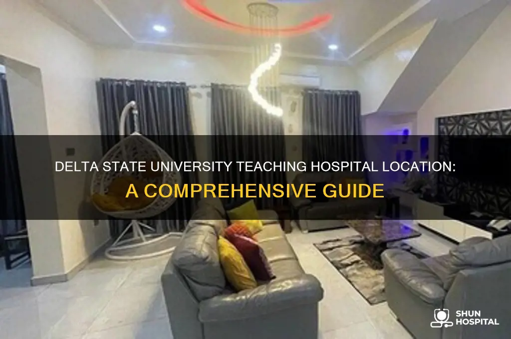 where is delta state university teaching hospital