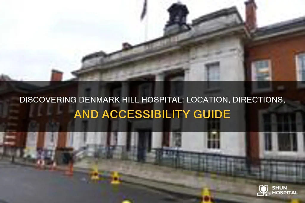 where is denmark hill hospital