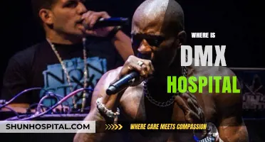 DMX Hospital Location: Where the Late Rapper Received Care