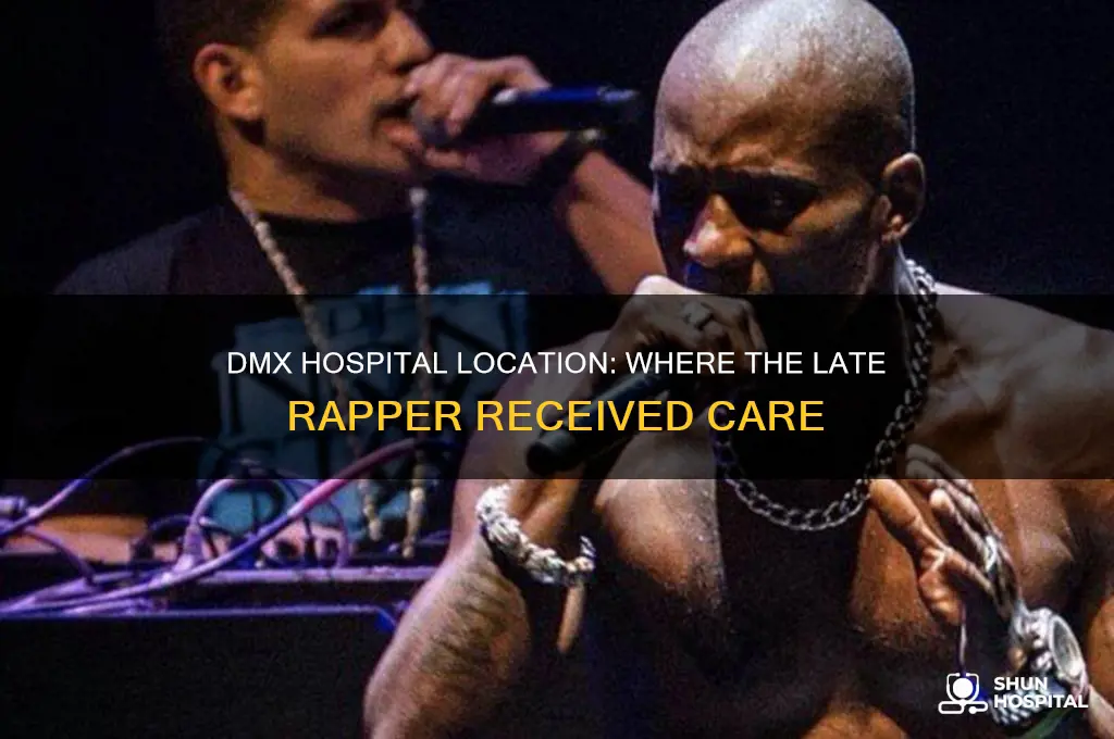 where is dmx hospital