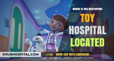 Discover the Real-Life Location of Doc McStuffins Toy Hospital
