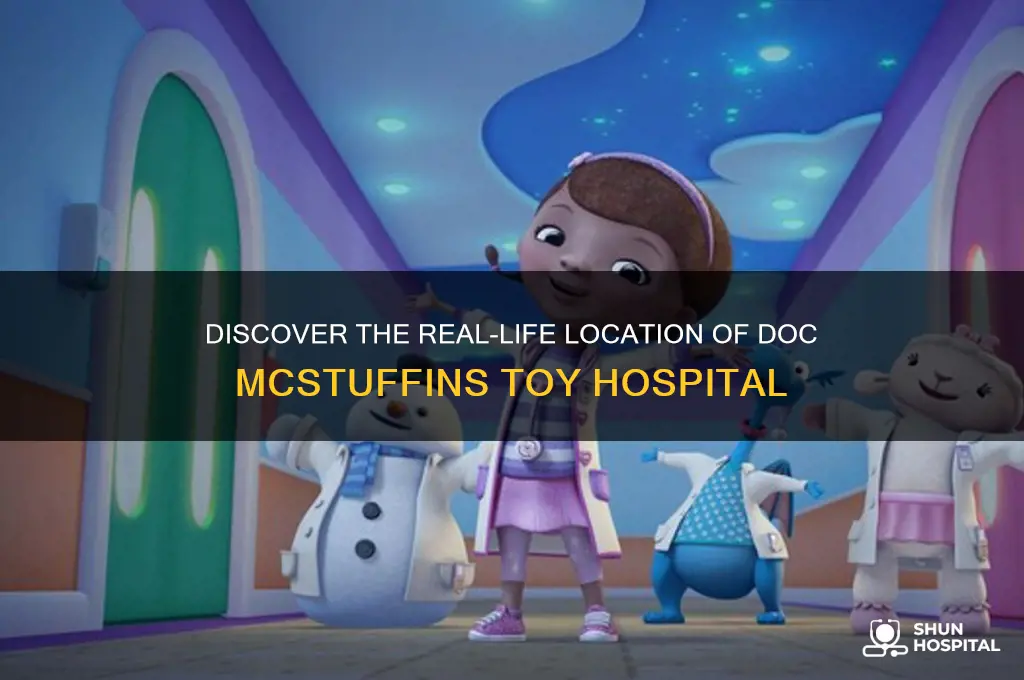 where is doc mcstuffins toy hospital located