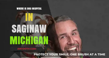 Find the Best Dog Hospital in Saginaw, Michigan: A Guide