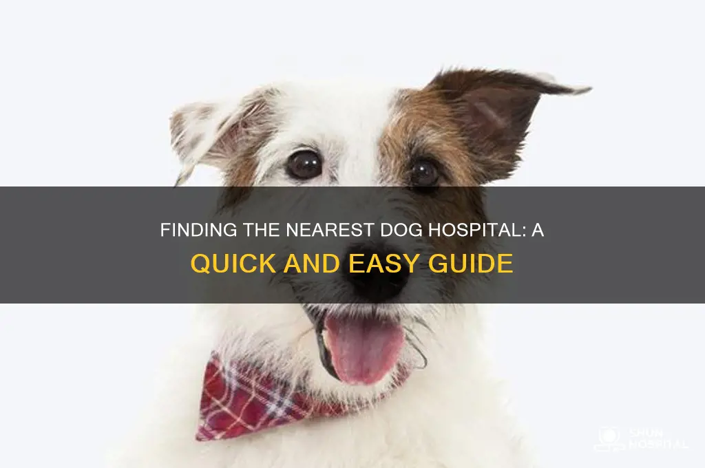 where is dog hospital