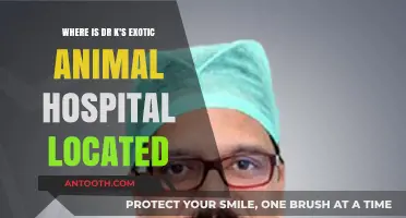 Discover Dr. K's Exotic Animal Hospital Location: A Guide