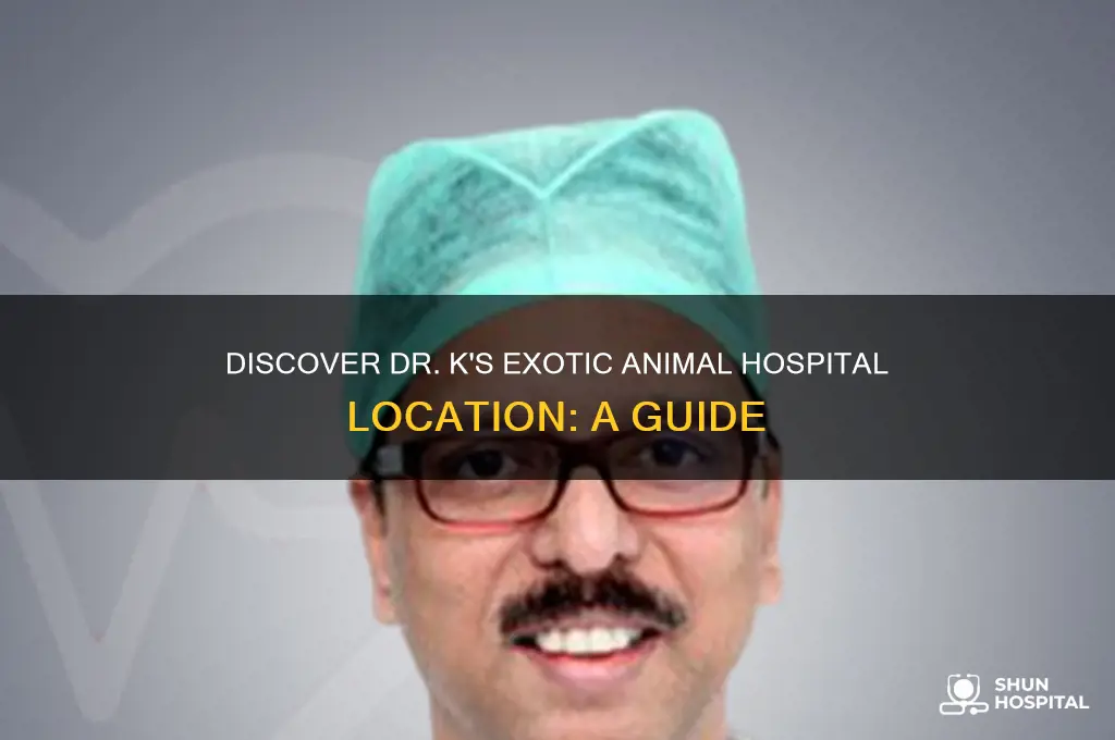 where is dr k