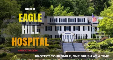 Eagle Hill Hospital Location: A Comprehensive Guide to Finding It