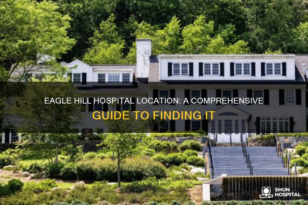 where is eagle hill hospital