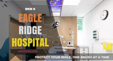 Eagle Ridge Hospital Location: A Guide to Finding the Facility