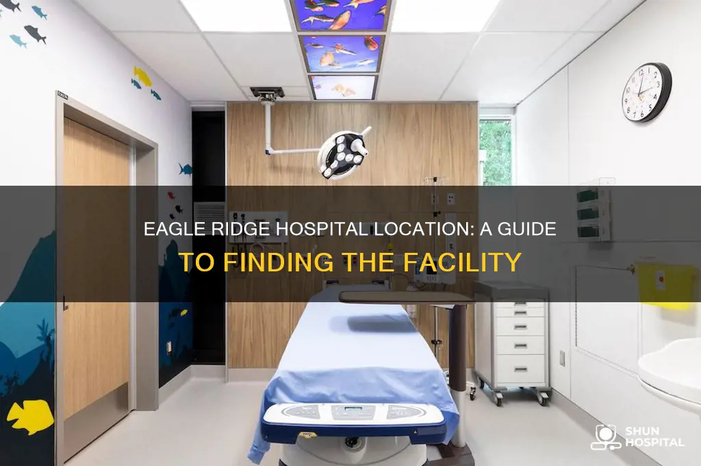 where is eagle ridge hospital