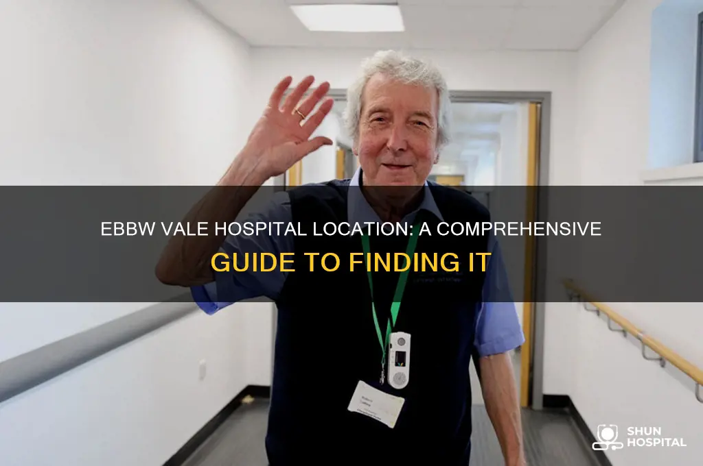 where is ebbw vale hospital