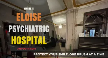 Exploring the Location of Eloise Psychiatric Hospital: A Historical Journey